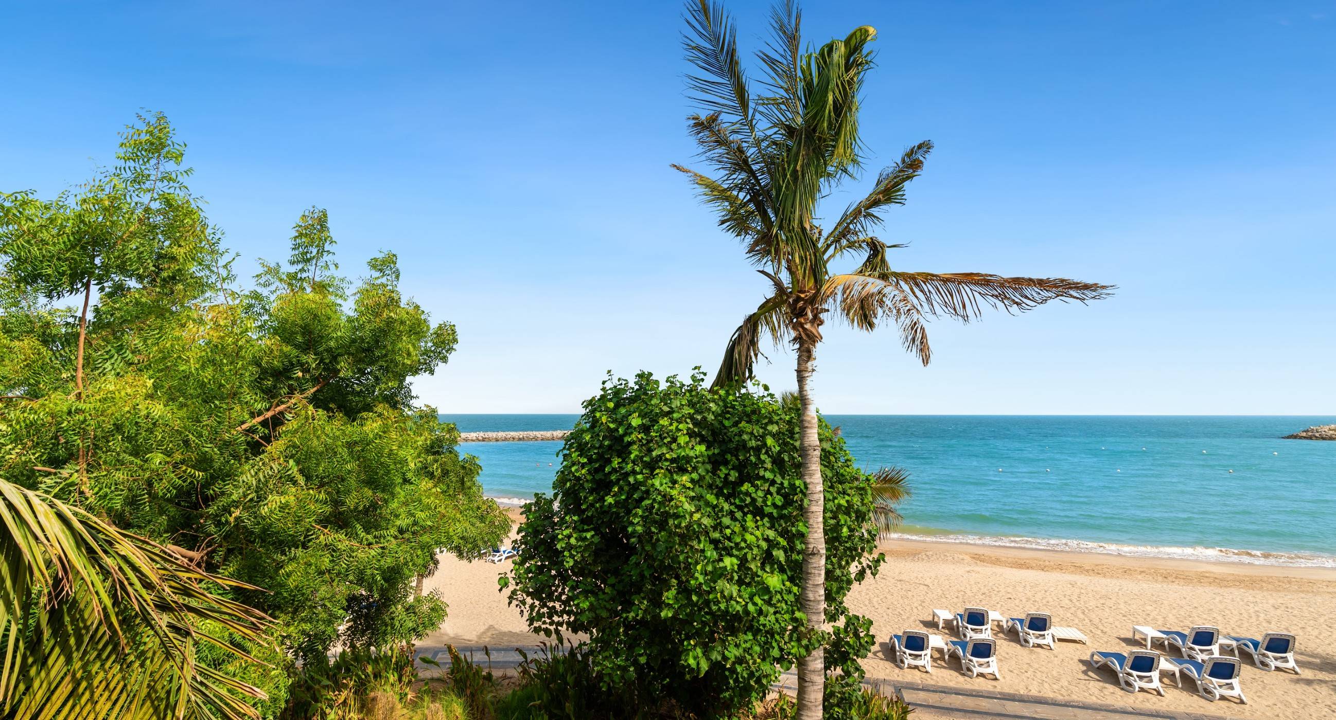 OBPS1 பற்றி