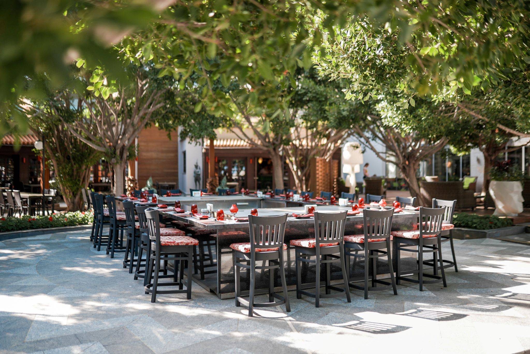 Teppanyaki Restaurant