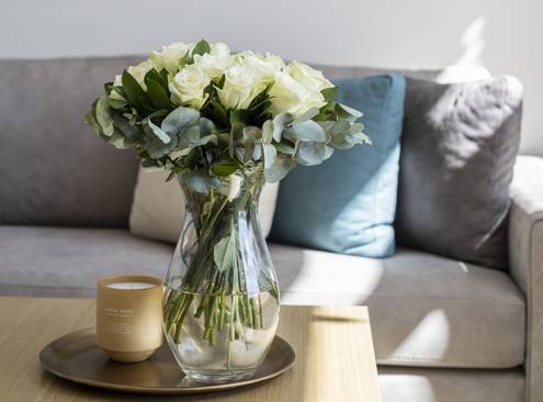 Suite кескіні