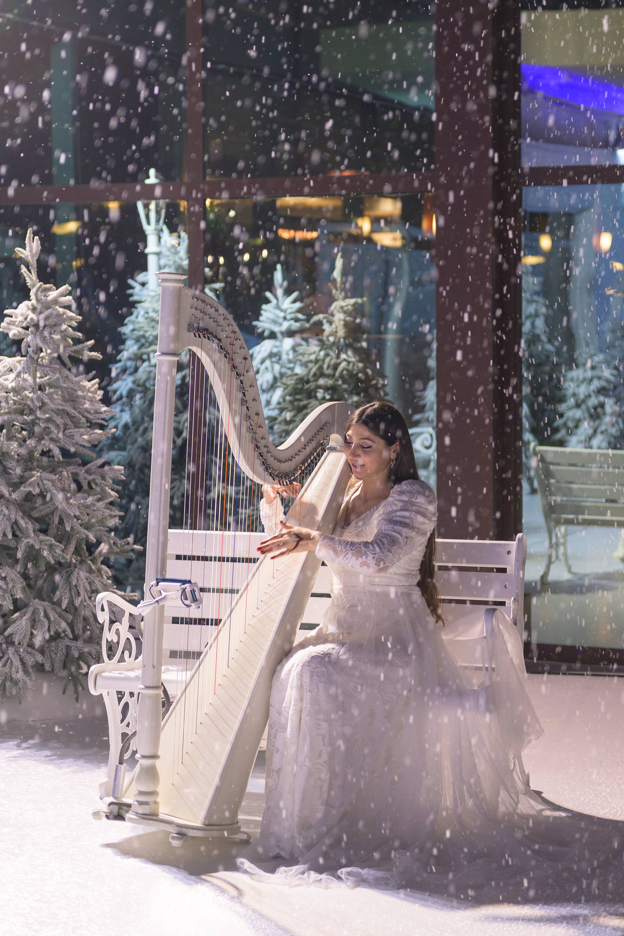 عازف القيثارة المتجمدة RTPD