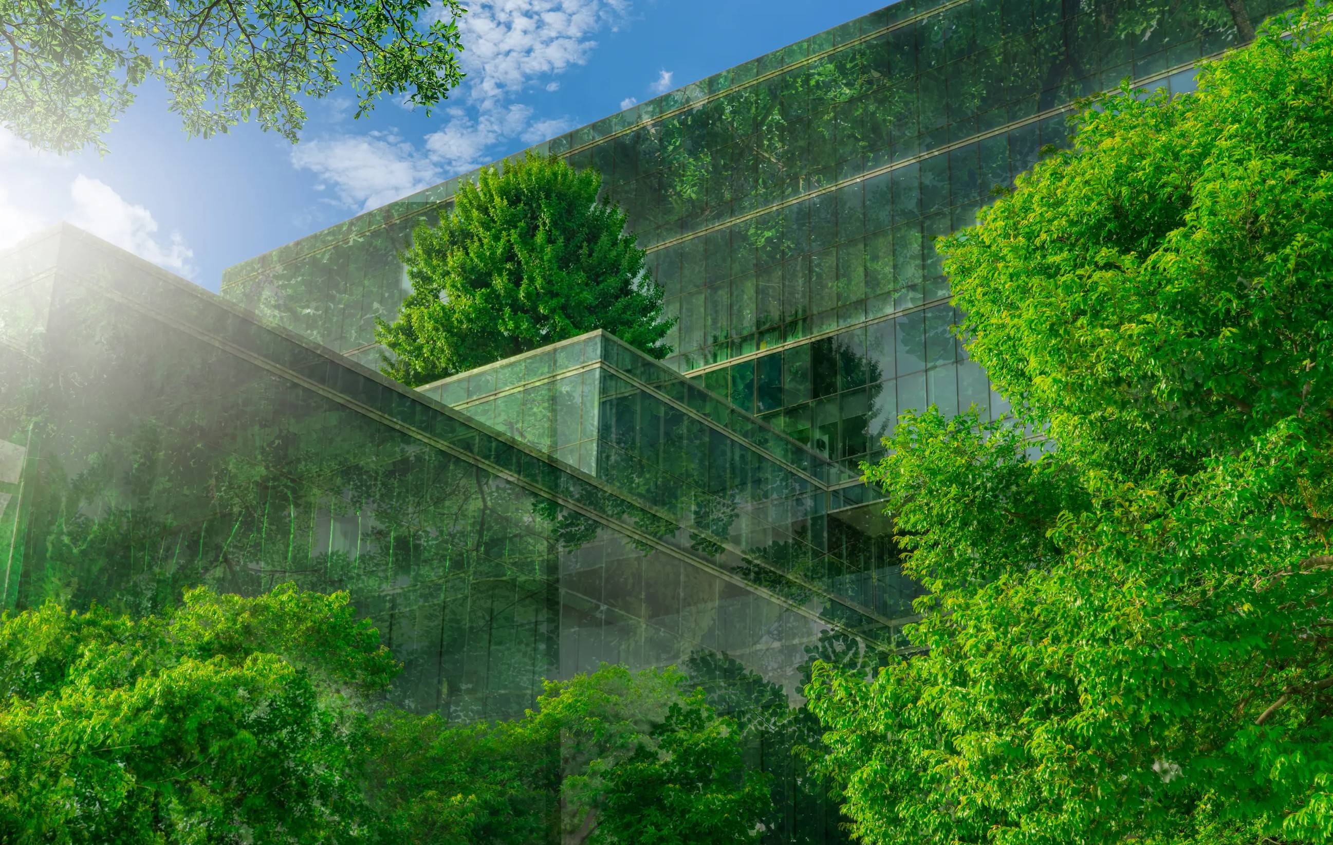 Устойчивость 02