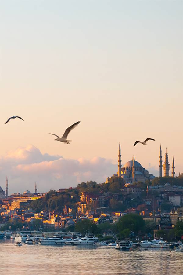Ramazan ayında İstanbul'un sakin altın saat manzarası, su üzerinde uçan üç martı ile. Tarihi Süleymaniye Camii, uzaktaki tepede, sıcak gün batımı ışığıyla yıkanmış, aşağıda kıyıya demirlemiş teknelerle birlikte göze çarpan bir şekilde duruyor.