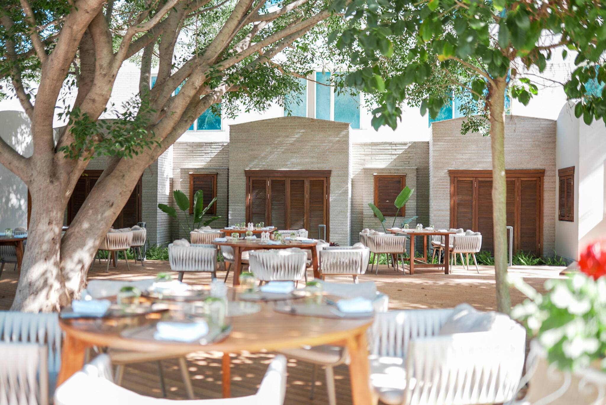 Rixos Sungate'deki Croissant Service A'La Minute Restaurant'ın güneşli açık hava yemek alanı. Büyük, olgun ağaçların gölgelediği alanda, panjurlu ahşap kapı ve pencerelere sahip nötr tonlu bir binaya yerleştirilmiş yuvarlak ahşap masalar ve dokuma, açık renkli sandalyeler yer alıyor.